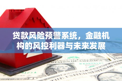 泉港贷款风险预警系统，金融机构的风控利器与未来发展