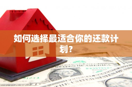 泉港如何选择最适合你的还款计划？