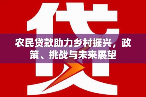泉港农民贷款助力乡村振兴，政策、挑战与未来展望