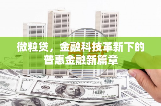 泉港微粒贷，金融科技革新下的普惠金融新篇章