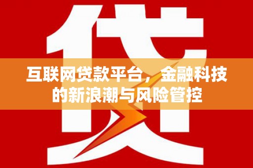 泉港互联网贷款平台，金融科技的新浪潮与风险管控