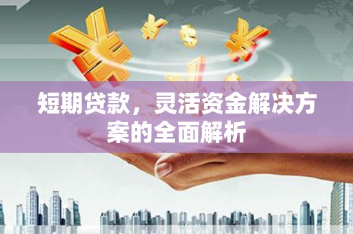 泉港短期贷款，灵活资金解决方案的全面解析