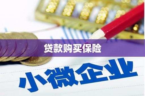泉港贷款购买保险