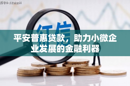 泉港平安普惠贷款，助力小微企业发展的金融利器