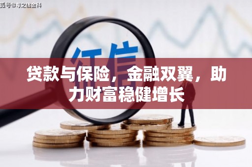 泉港贷款与保险，金融双翼，助力财富稳健增长