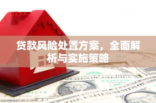 泉港贷款风险处置方案，全面解析与实施策略